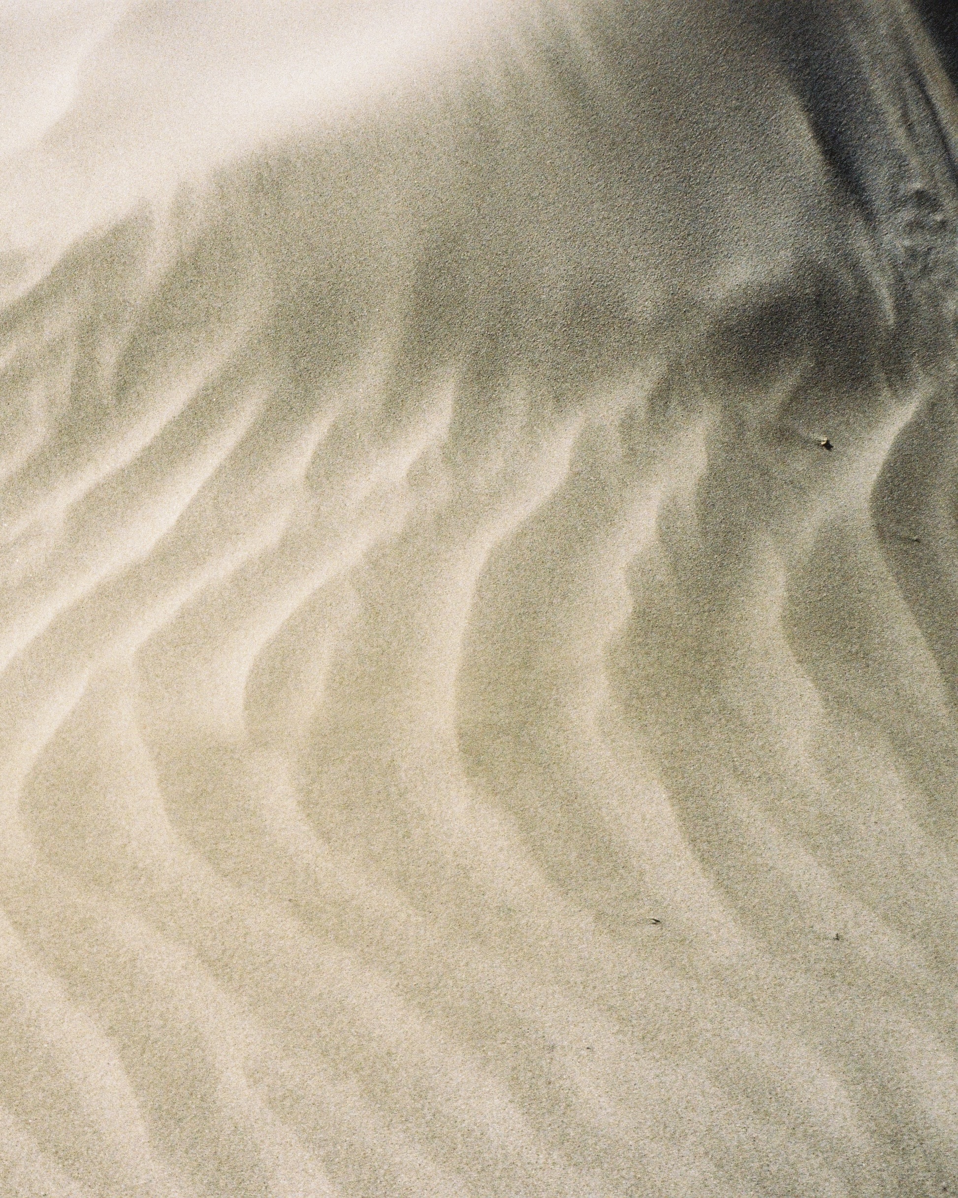 Beach Sand Waves