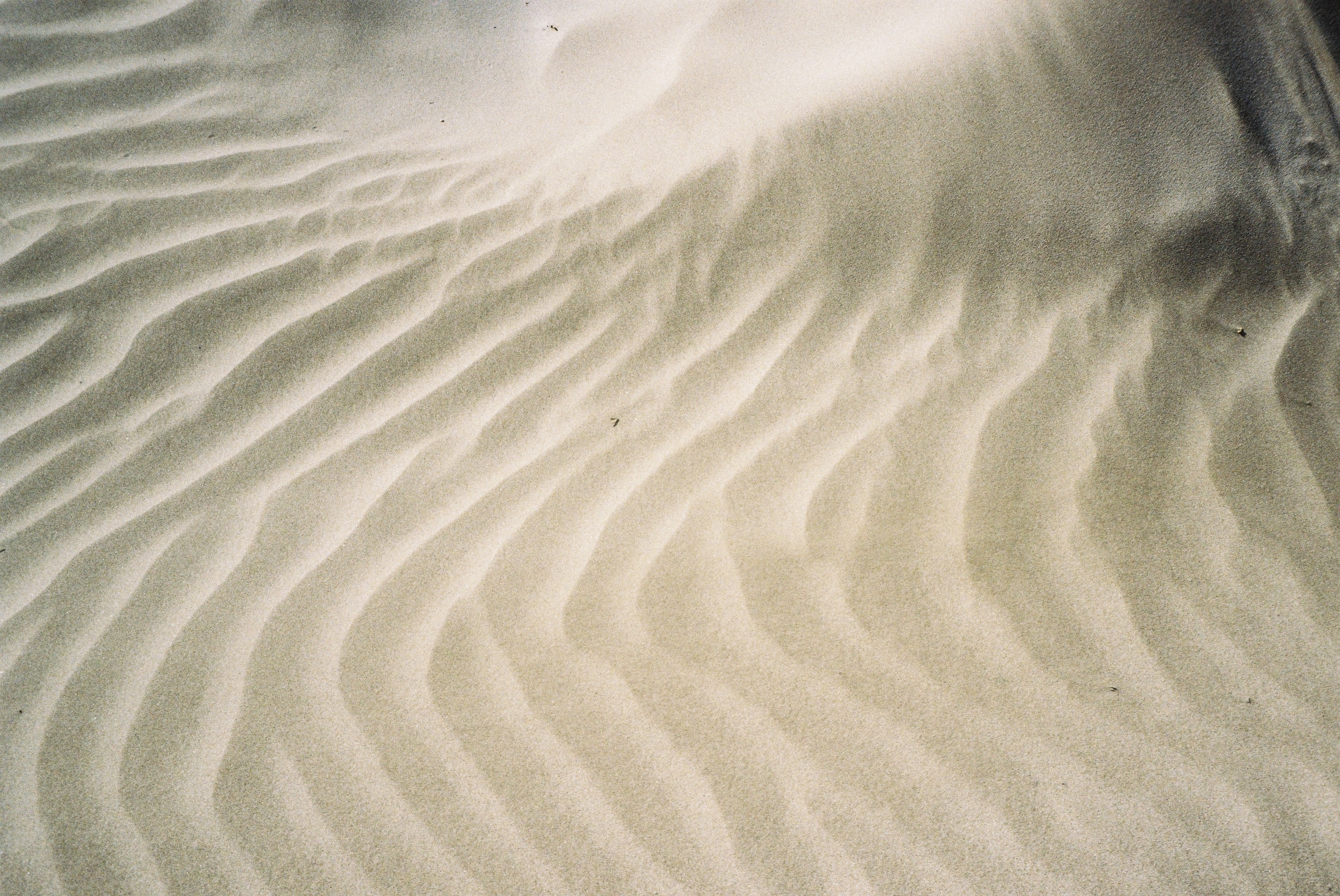 Beach Sand Waves